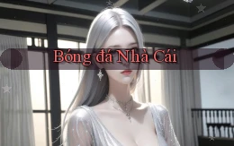 Bóng đá Nhà cái