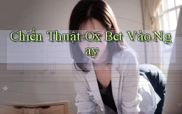 chiến thuật ox bet vào ngay