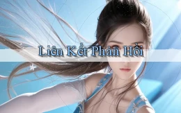 Liên kết Phản hồi