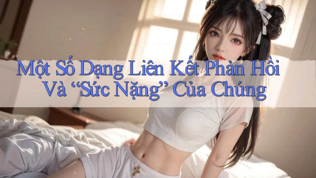 Một Số Dạng Liên Kết Phản Hồi Và “Sức Nặng” Của Chúng