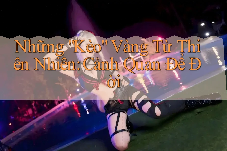 Những “Kèo” Vàng Từ Thiên Nhiên: Cảnh Quan Để Đời