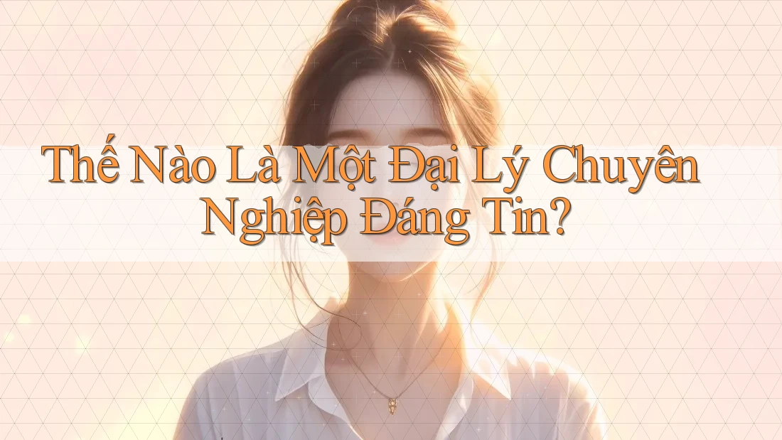 Thế Nào Là Một Đại Lý Chuyên Nghiệp Đáng Tin?