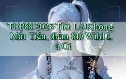 TOP88 2025 tiết lộ không mất tiền, điểm 810 wild là gì